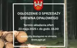 Zdjęcie do OGŁOSZENIE O SPRZEDAŻY DREWNA