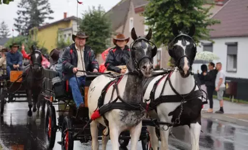 Zdjęcie do Święto Konia w Jabłonnie już po raz trzynasty!