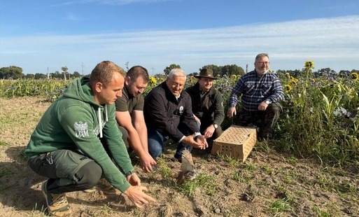 Zdjęcie do 154 kuropatwy zasiliły naturalne siedliska na terenie Powiatu Grodziskiego!&nbsp;